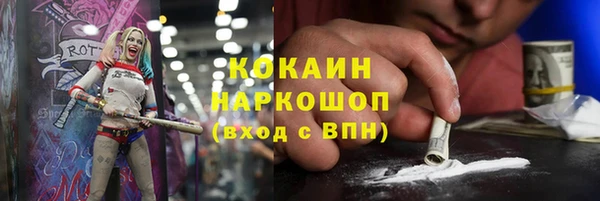 твердый Алексин