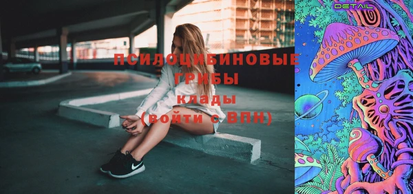 дурь Алексеевка