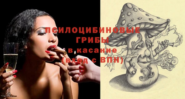 дурь Алексеевка